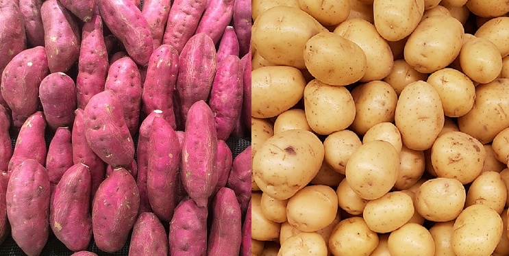 kanker Oude tijden Nieuwjaar Gewone' aardappel en zoete aardappel. Welke is gezonder? - Veggipedia