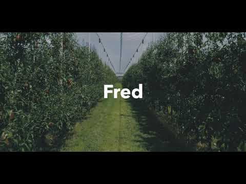 Fred© pear