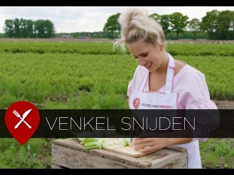 Fennel