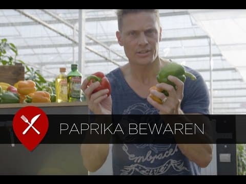 Paprika