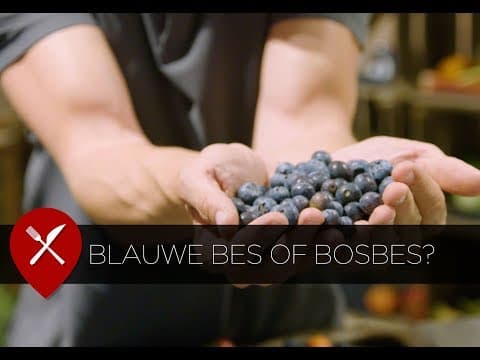 Blueberry