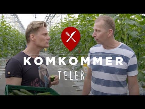 Cucumber
