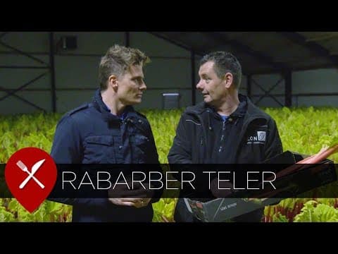 Rabarber