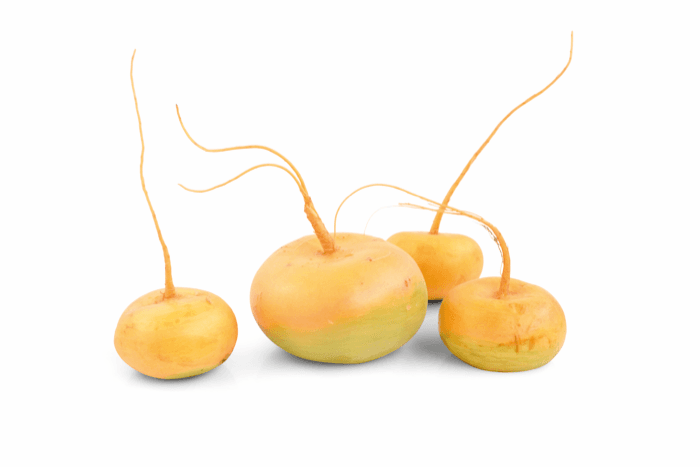 <h1>3 x écht vergeten groente</h1>