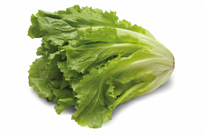 <h1>9 x Nederlandse seizoensgroenten van mei en juni</h1>