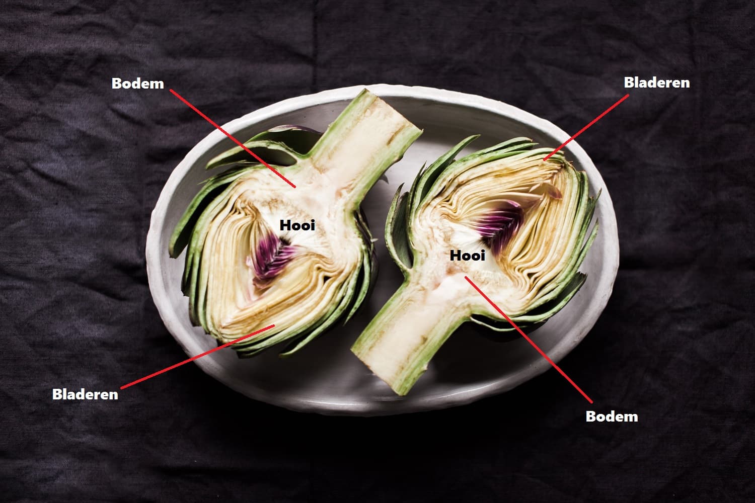 <h1>Welke delen van een artisjok zijn eetbaar?</h1>