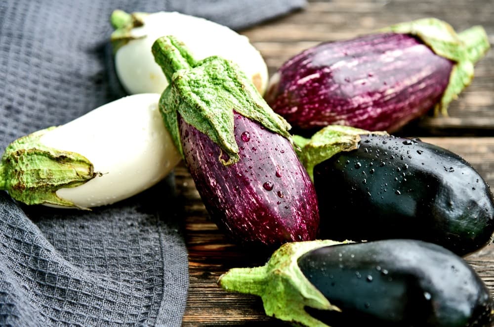 <h1>Alles over de aubergine: gezondheid, soorten en recepten</h1>