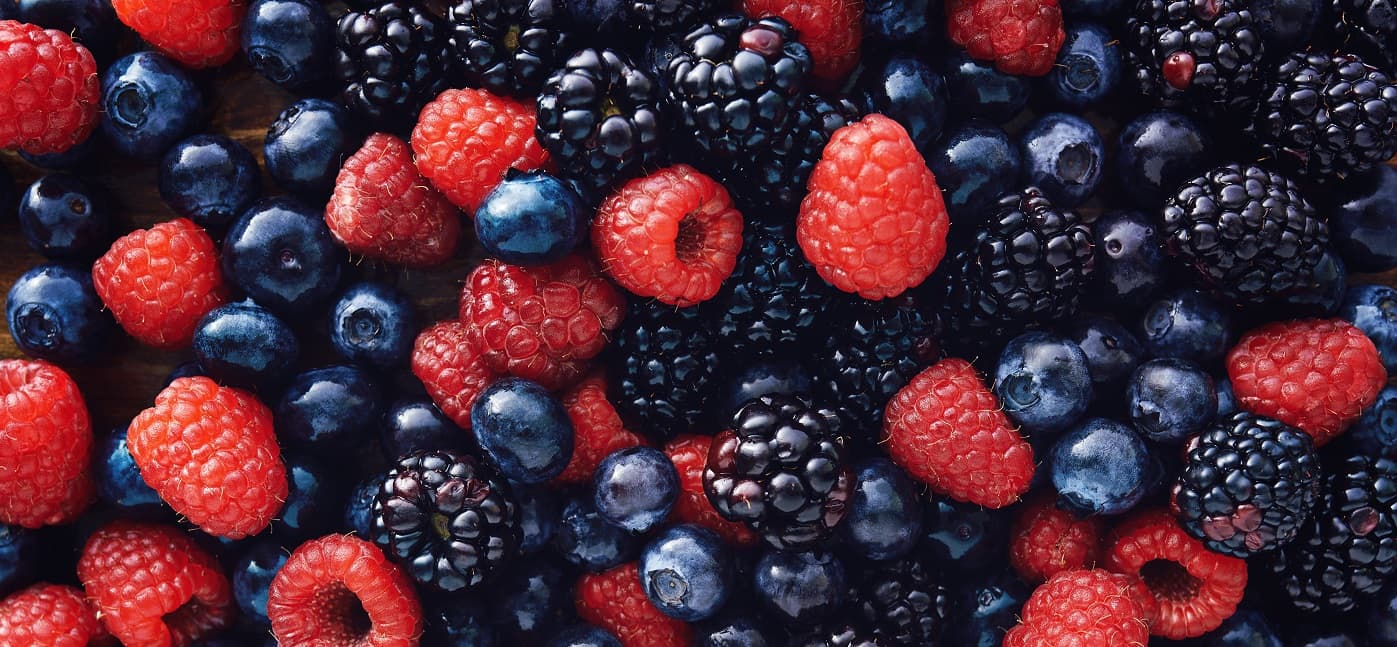 <h1>Die wunderbare Welt der Früchte</h1>