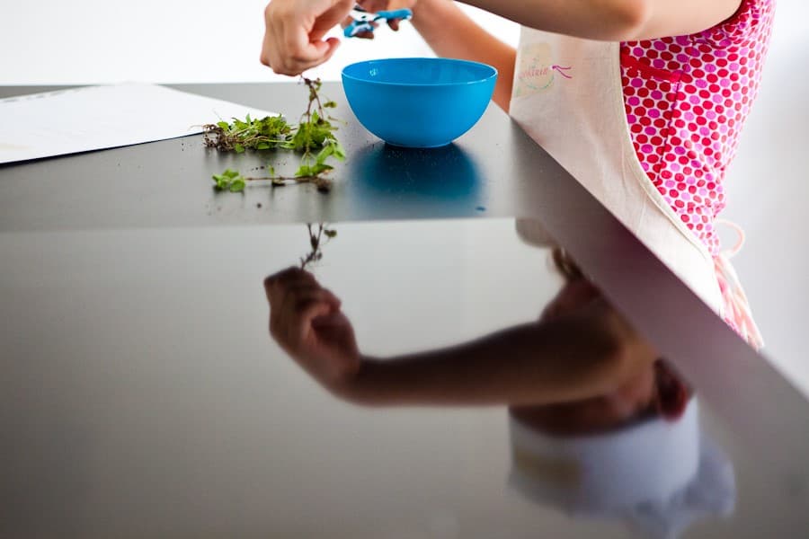 <h1>Proeven met je Ogen</h1>