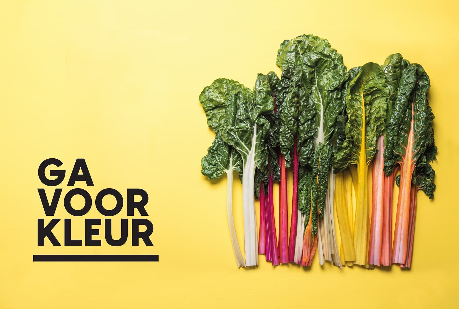 <h1>Welke groenten en fruit zijn het meest gezond?</h1>