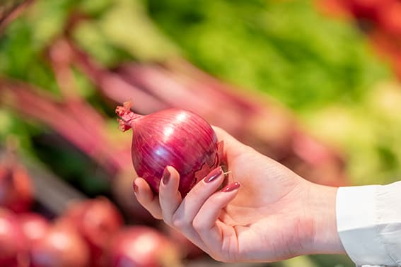 <h1>Welke soorten uien zijn er?</h1>