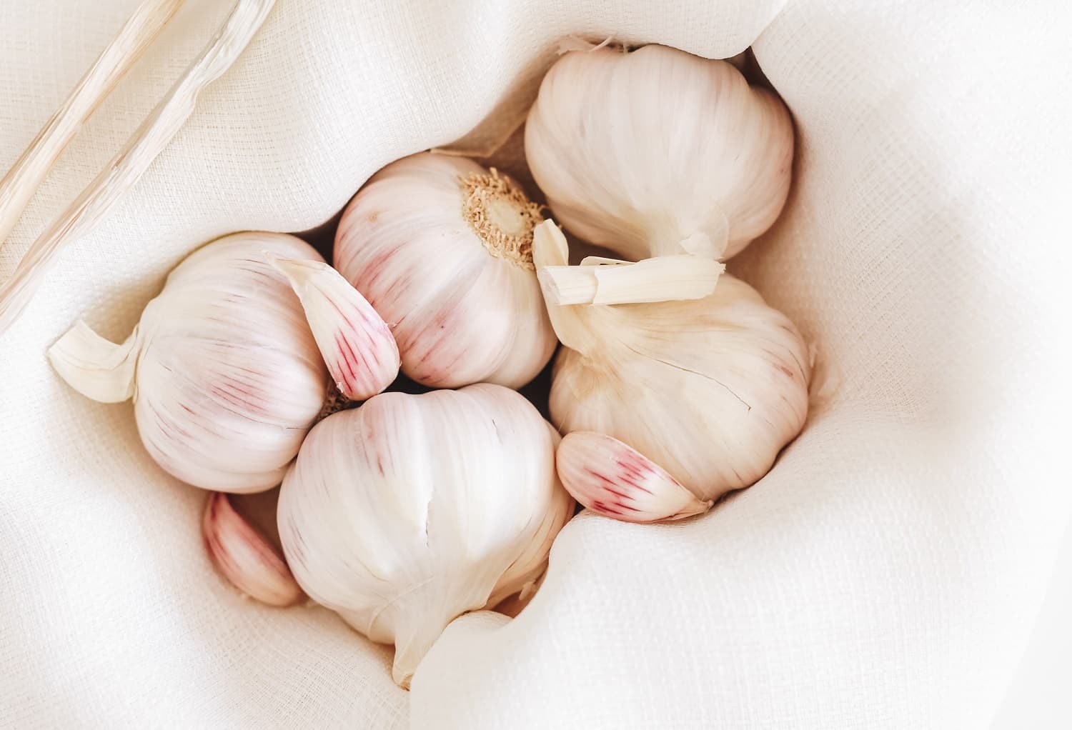 <h1>Knoflook: de smaakmaker van veel gerechten</h1>