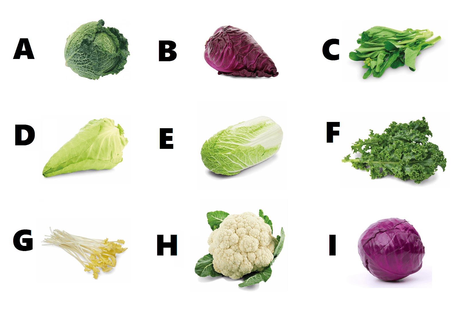 <h1>QUIZ koolsoorten: hoeveel herken jij er?</h1>