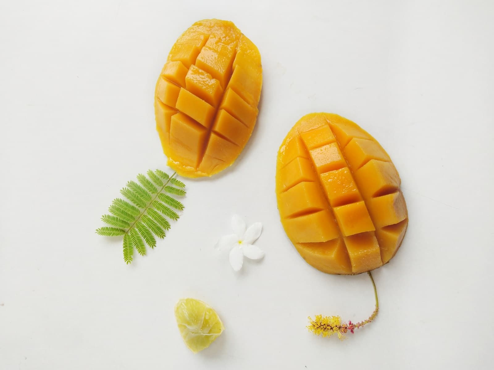<h1>Slimme truc: Hoe snij je een mango? </h1>