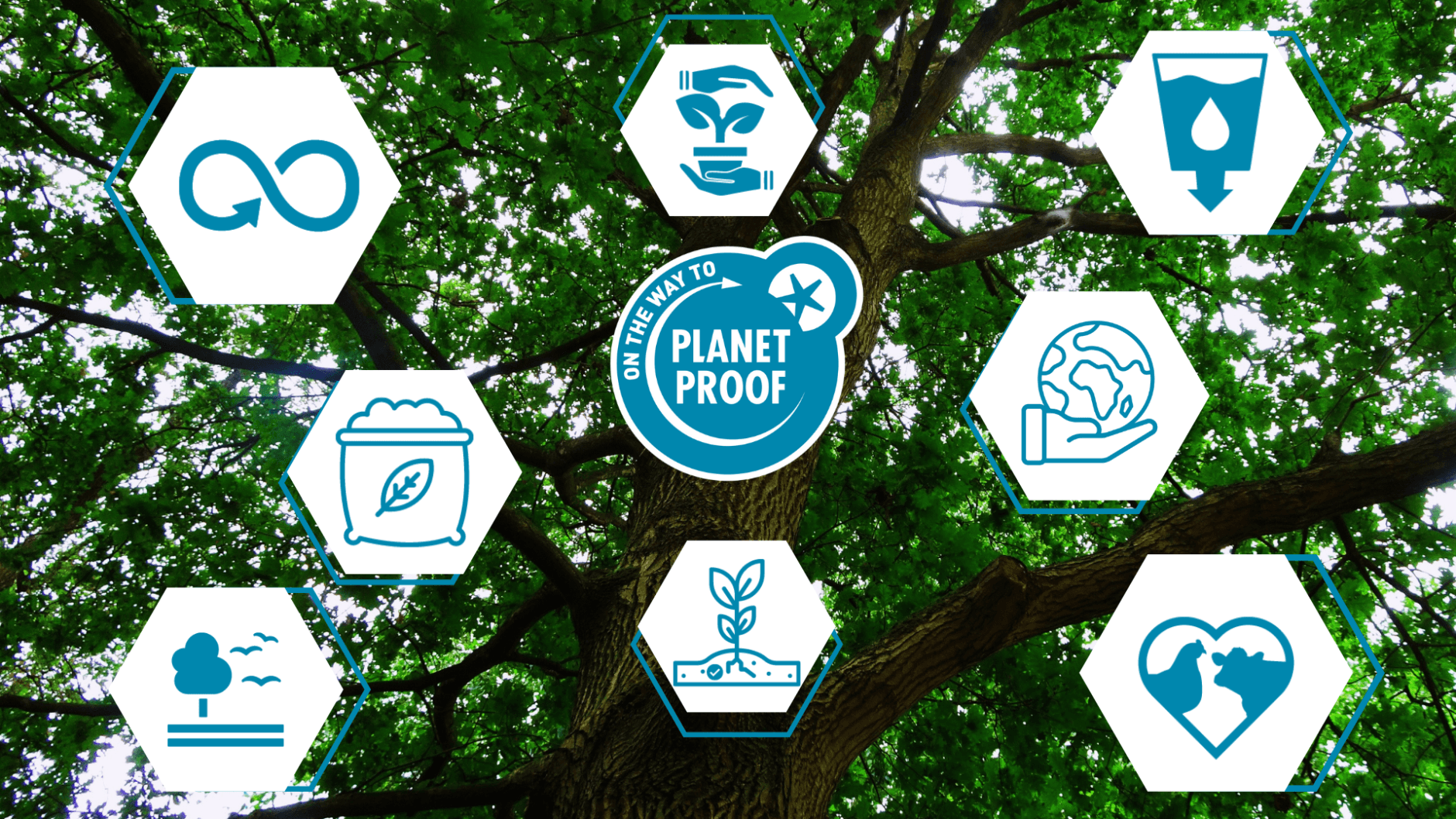 <h1>Hoe dragen Nederlandse telers bij aan een groenere planeet?</h1>