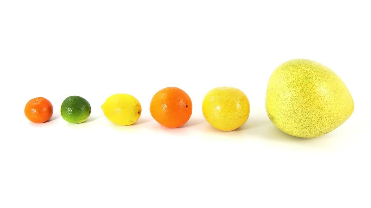 <h1>QUIZ: Weet jij wat een pomelo is? </h1>