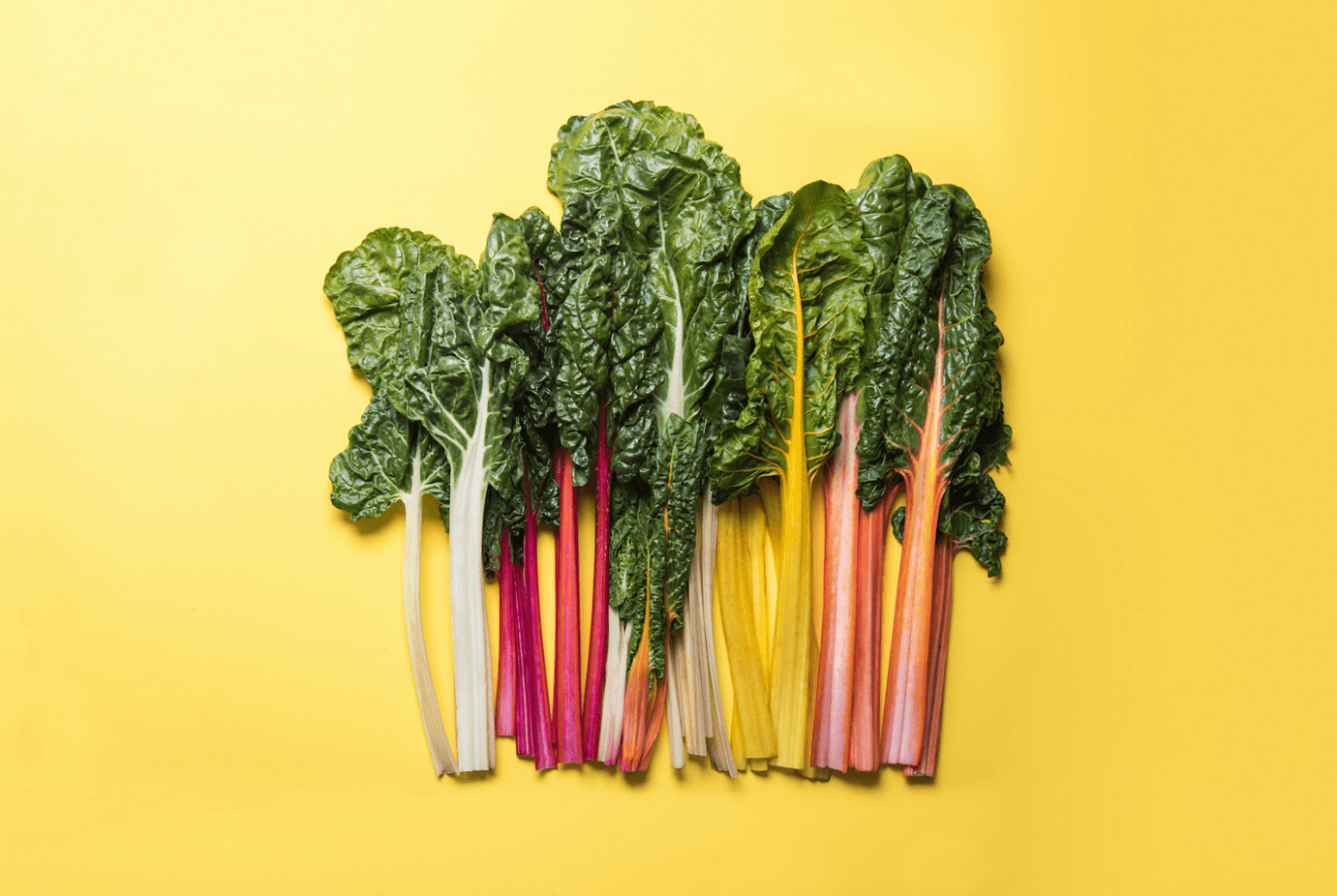 <h1>Snijbiet: wat is het en wat kun je ermee? </h1>