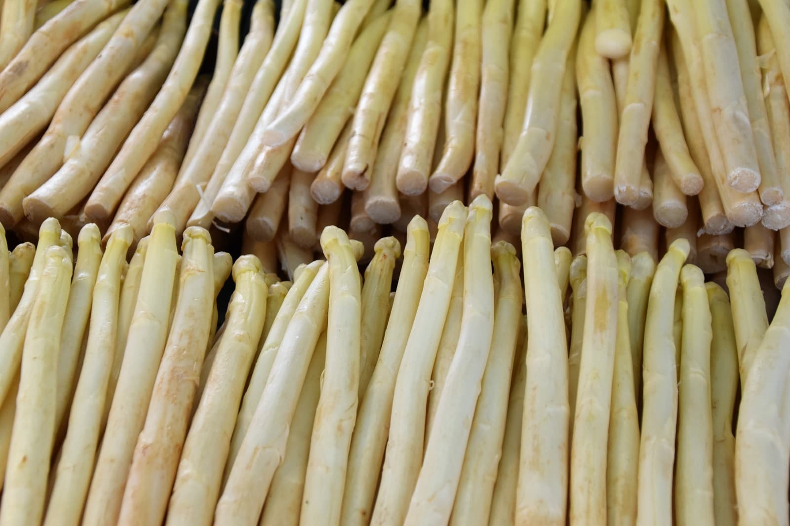 <h1>7 tips en weetjes over witte asperges</h1>