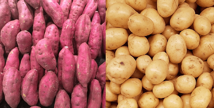 <h1>'Gewone' aardappel en zoete aardappel. Welke is gezonder? </h1>