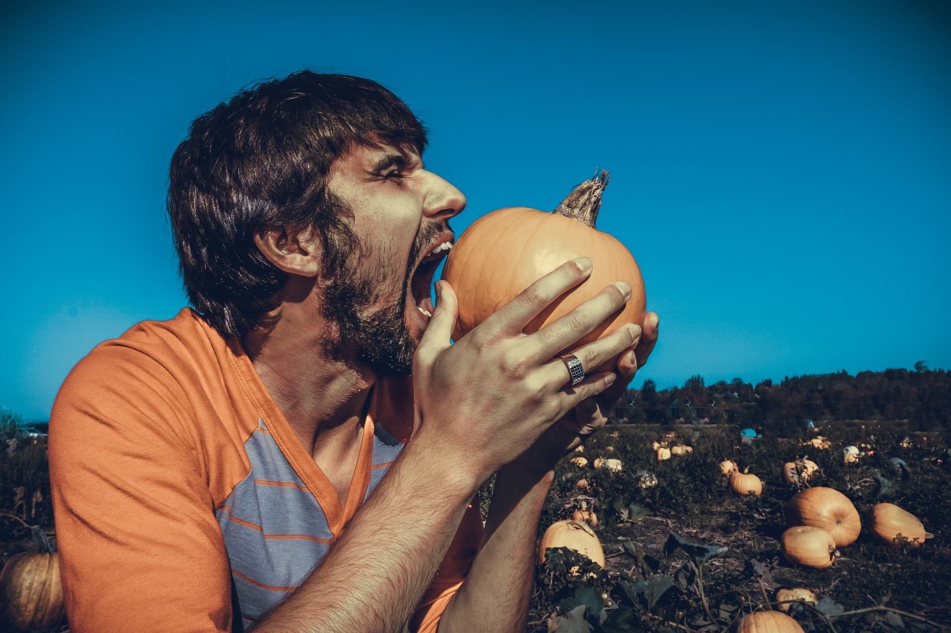 <h1>Planten eten op Wereld Televisie Dag</h1>