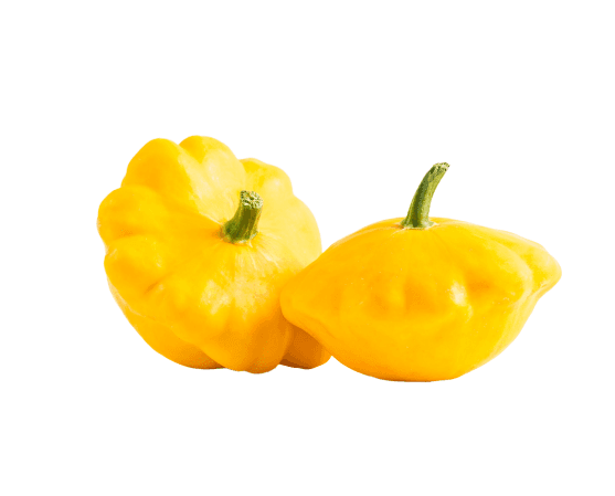 <h1>In de spotlight: de patisson</h1>