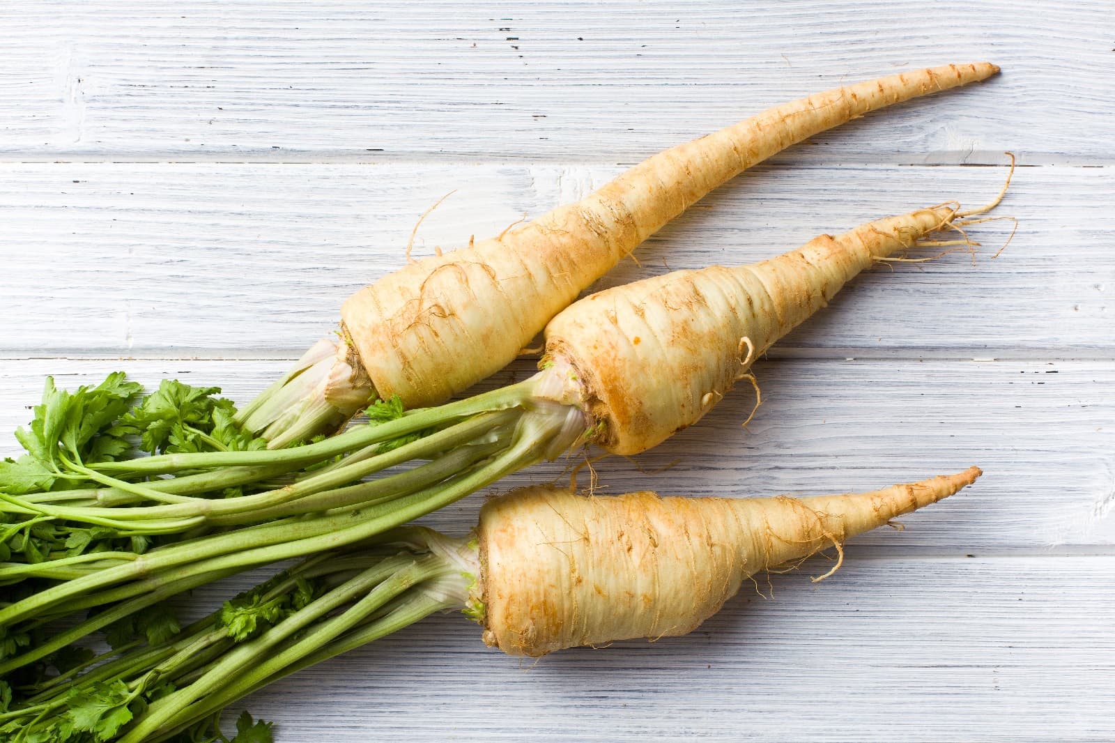 <h1>Seizoensgroenten december</h1>