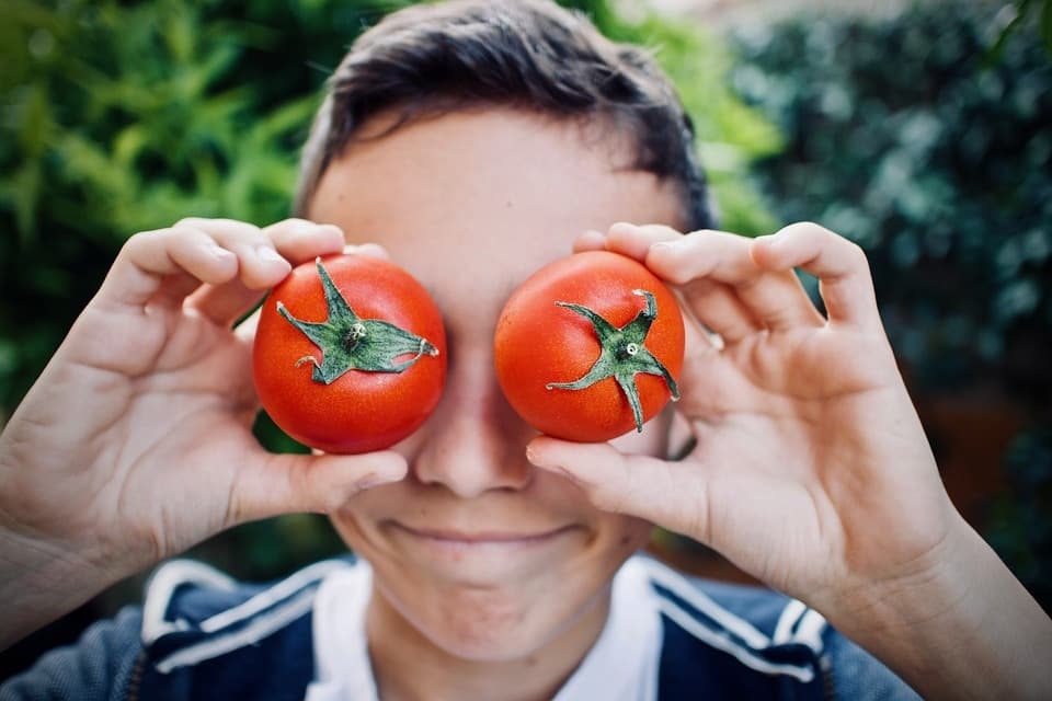<h1>Guerilla komkommers en tomaten</h1>