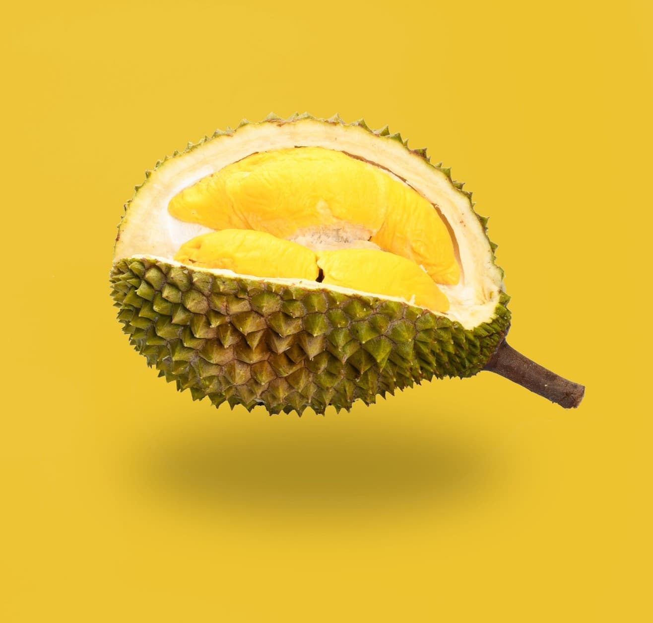 <h1>Waarom stinkt een Doerian?</h1>