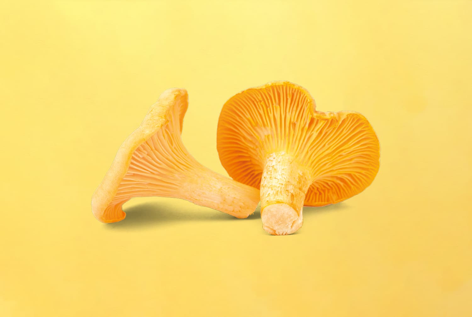 <h1>Gele groente centraal in item koffietijd</h1>