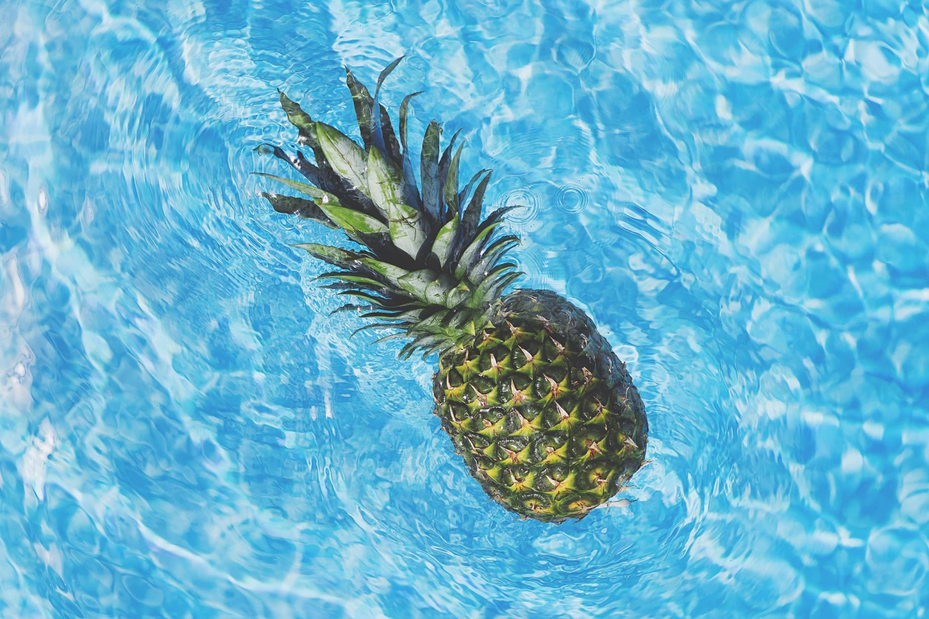 <h1>Zo houd je je hoofd koel met groenten en fruit</h1>