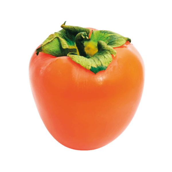 American persimmon