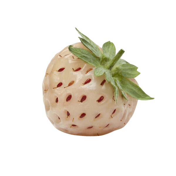 Ananas-aardbei