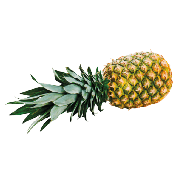 Ananas