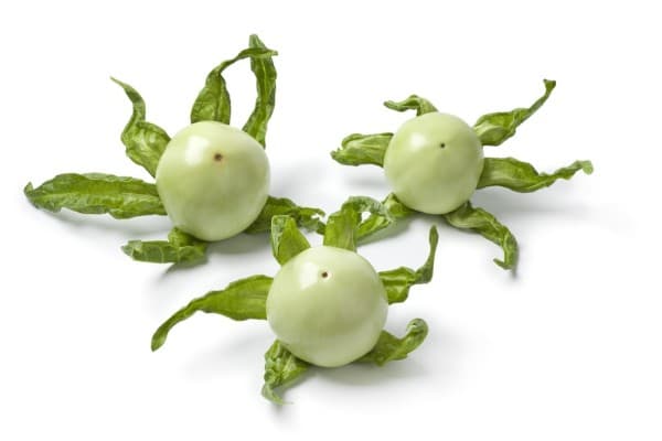 Antroewa