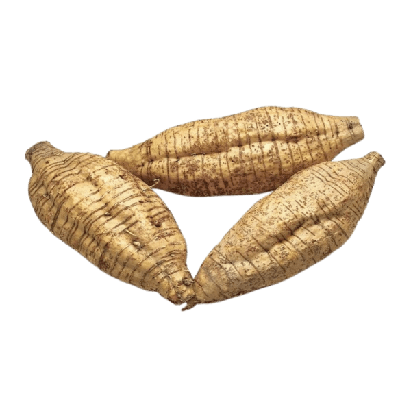 Arrowroot