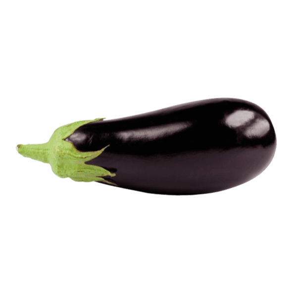 Aubergine