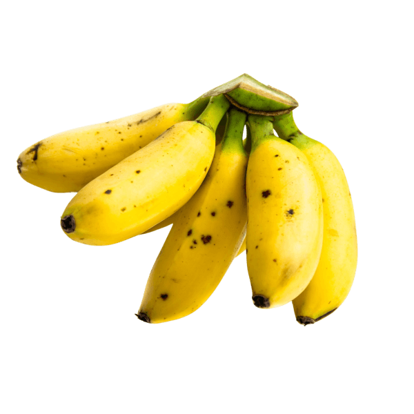 Babybananen