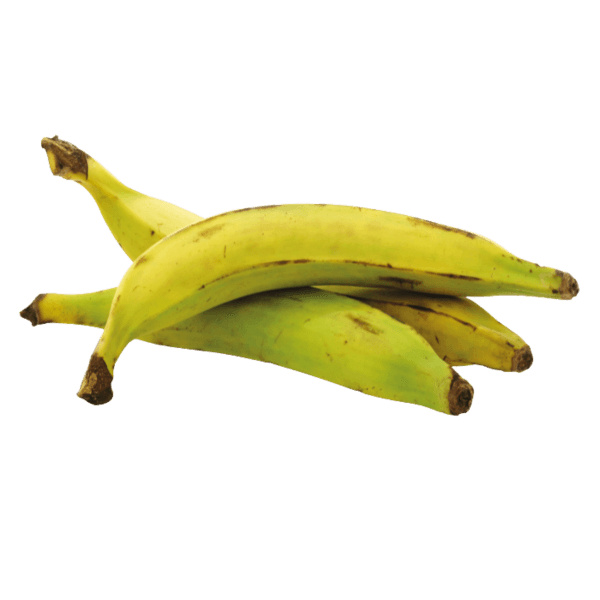 Bakbanaan