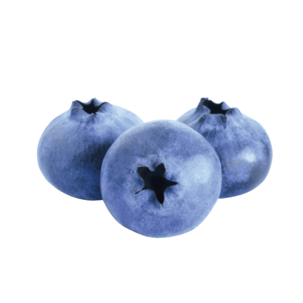 Blauwe bes