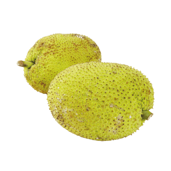Breadfruit