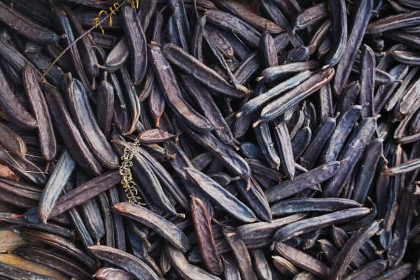Carob