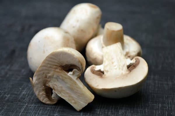 Champignons