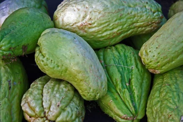 Chayote