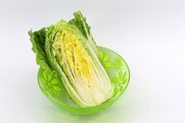 Chinese cabbage