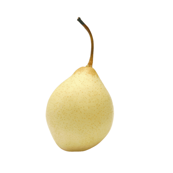 Chinese Peren (Yaperen)