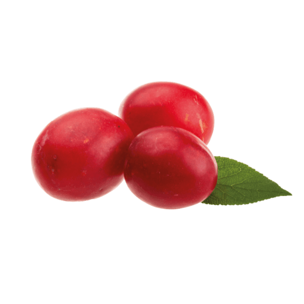 Damson pruimen