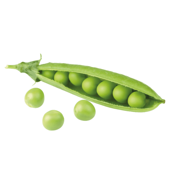 Doperwten