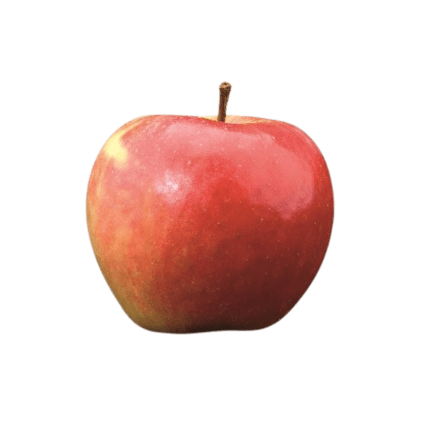 Elstar appel