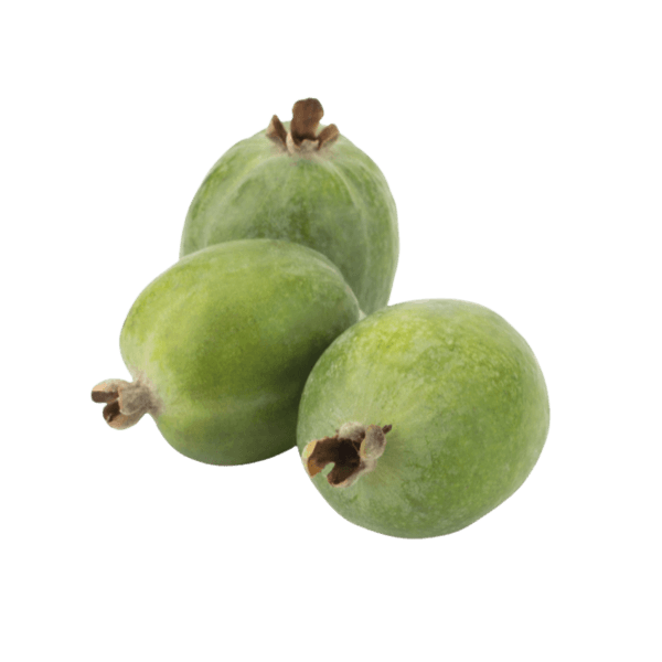 Feijoa