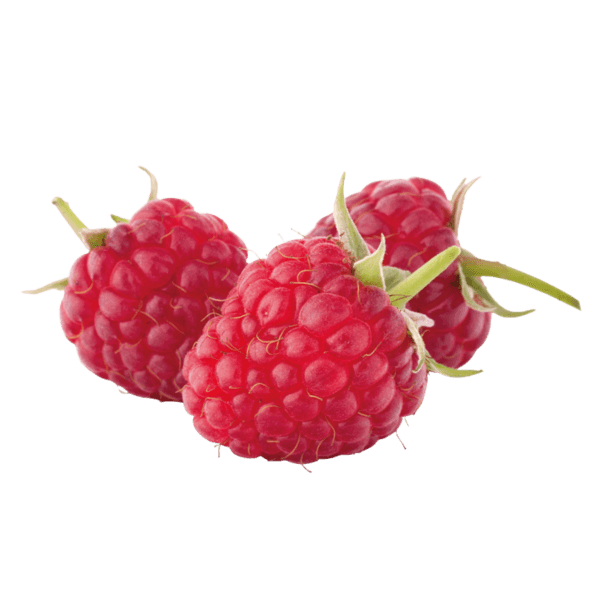 Frambozen